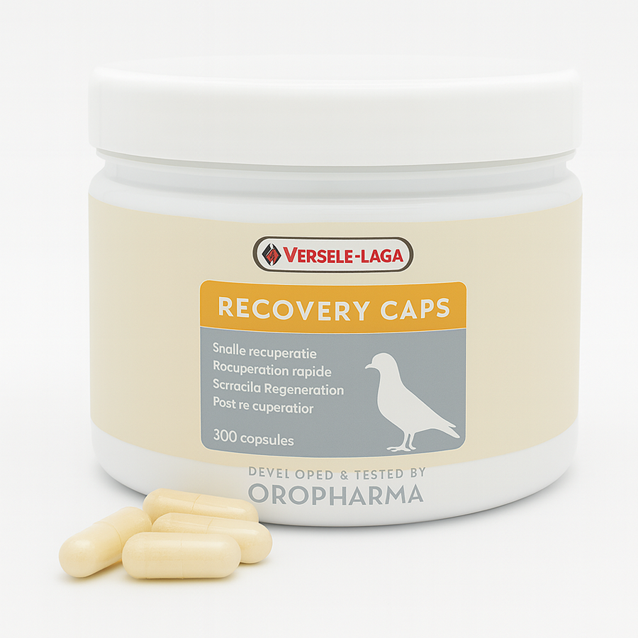 Versele-Laga Oropharma Recovery Caps 01