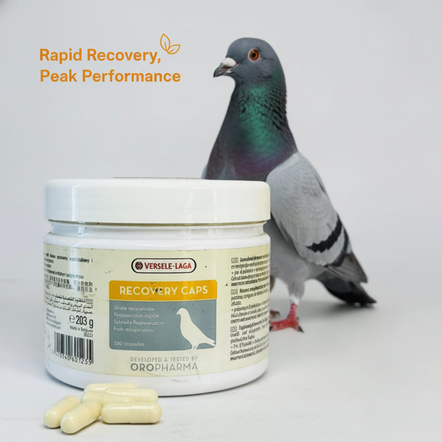 Versele-Laga Oropharma Recovery Caps 02