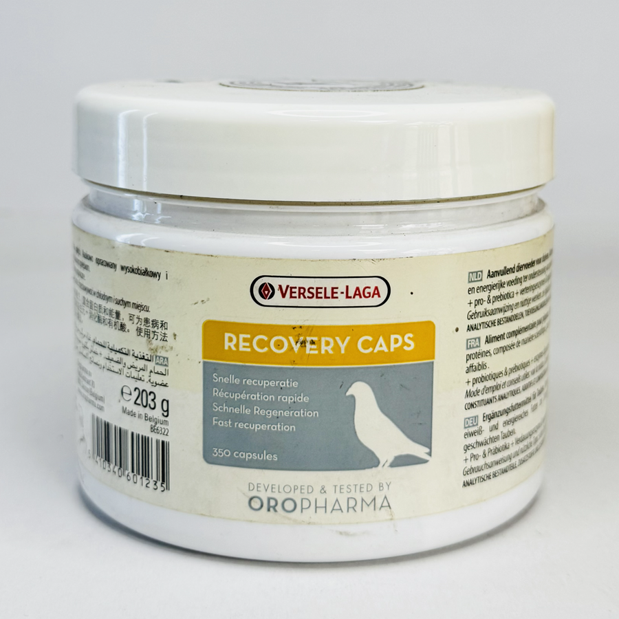 Versele-Laga Oropharma Recovery Caps T